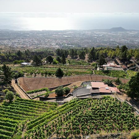 Finca Ecologica Ferrera. Alojamiento Rural. Arafo Εξωτερικό φωτογραφία