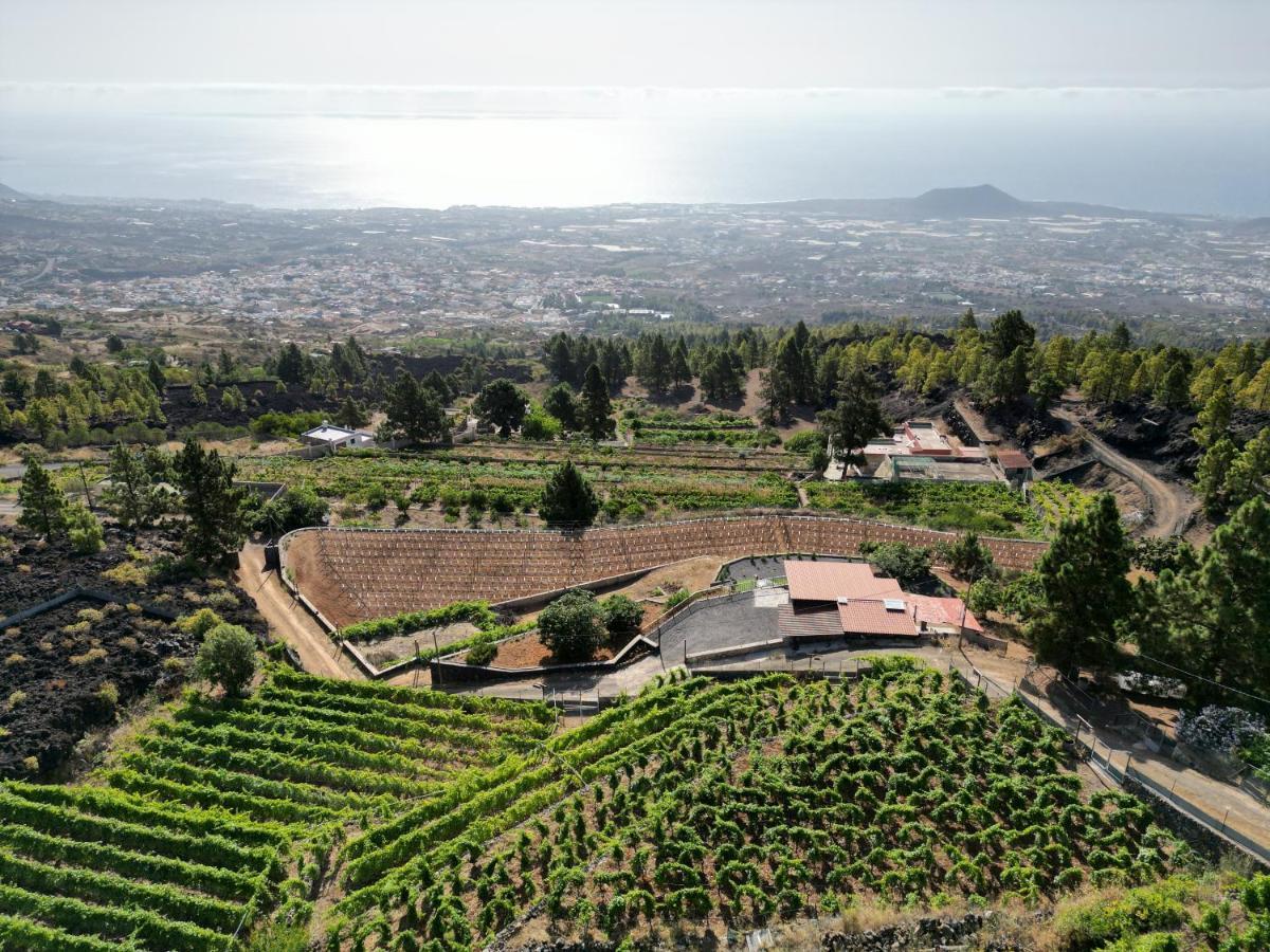 Finca Ecologica Ferrera. Alojamiento Rural. Arafo Εξωτερικό φωτογραφία